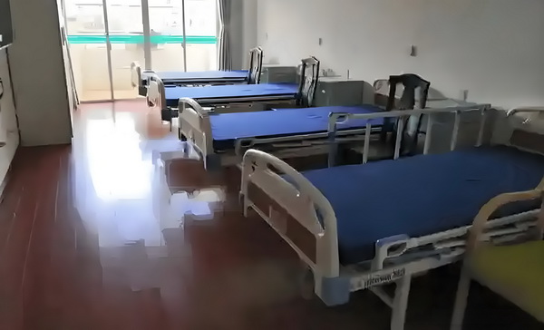 饲仙记