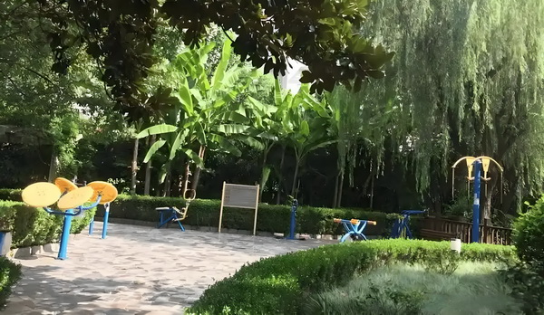 丑女夺君宠：鸢萝香